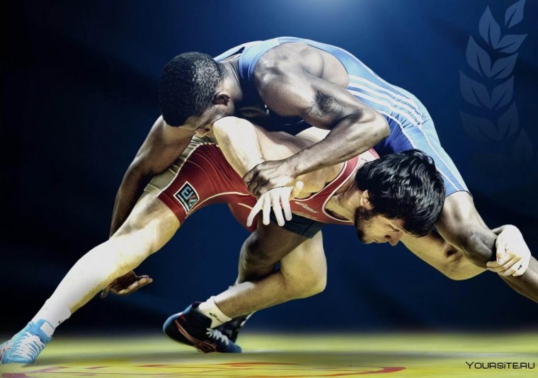 Греко-Римская, Вольная борцы