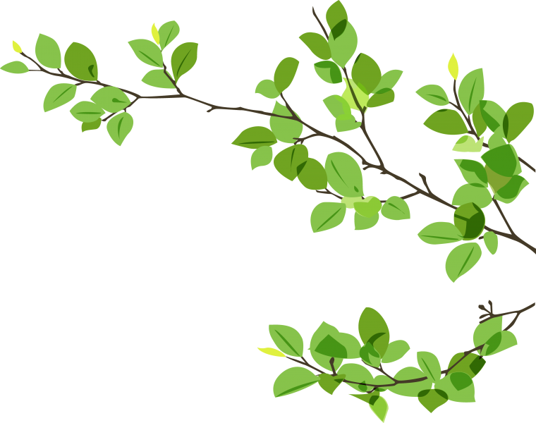 Ветка зелени