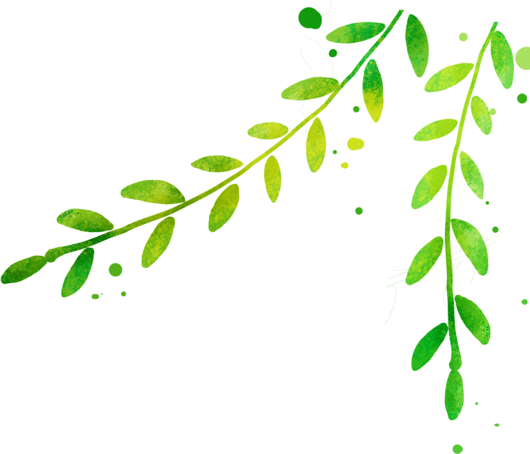 Зеленая веточка на прозрачном фоне