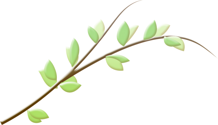 Ветка картинка для детей на прозрачном фоне