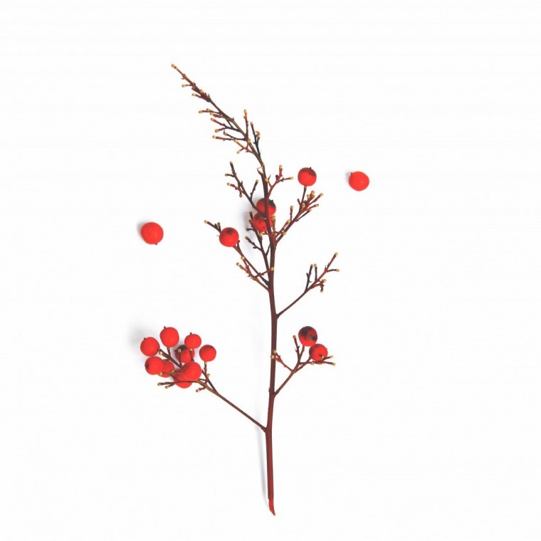 Цветы красными веточками