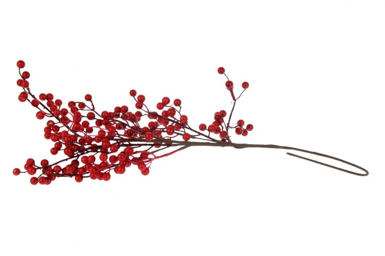 Ветка на белом фоне