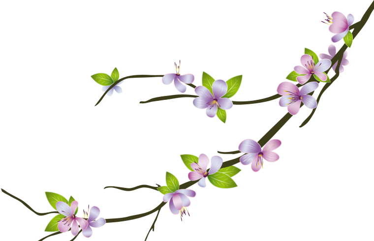 Ветка с цветами