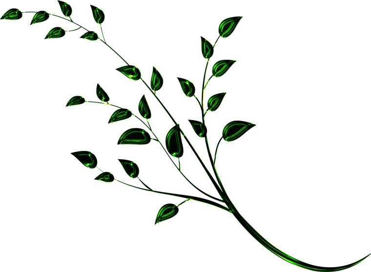 Красивые зеленые веточки