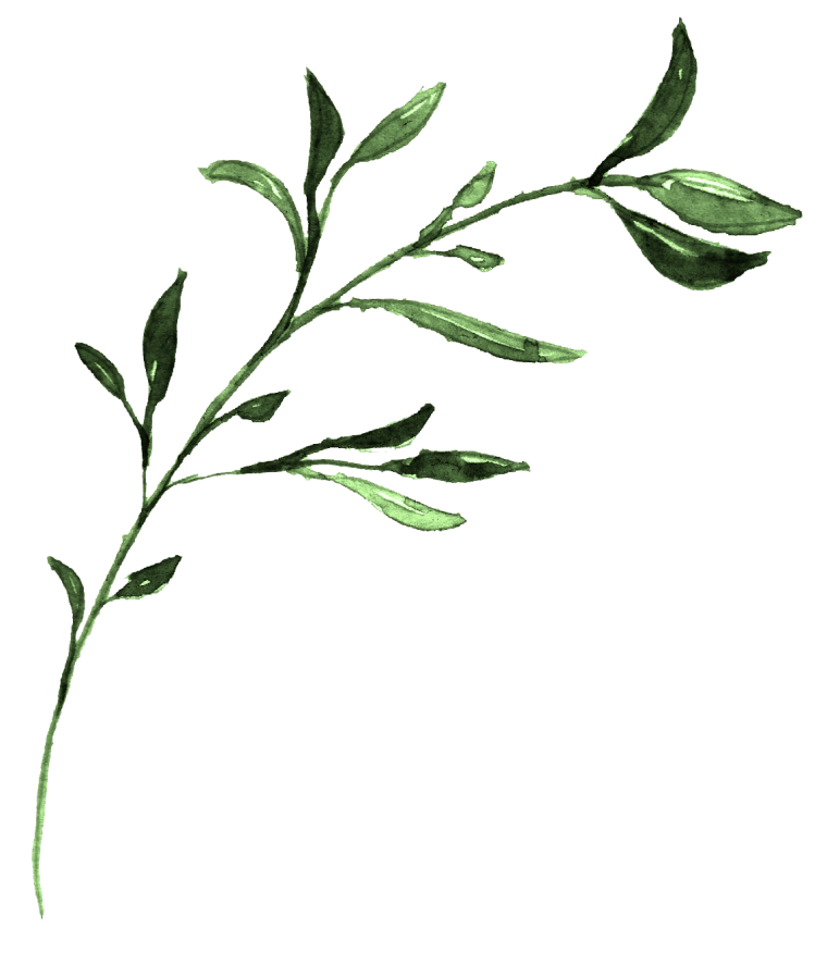 Зеленая ветка