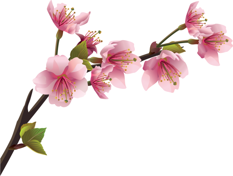 Веточка с цветочками