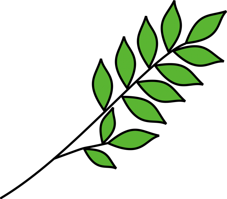 Нарисовать ветку