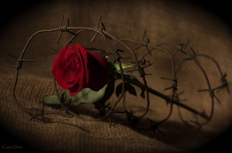 Картины на черном фоне