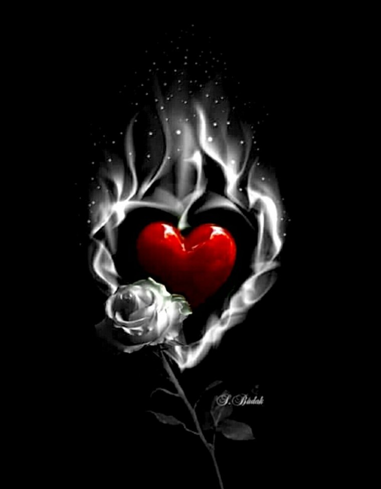 Разбитая роза