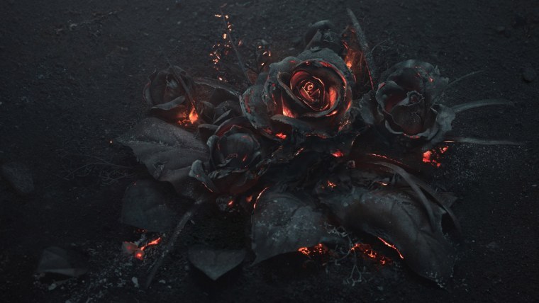 Засохшие цветы