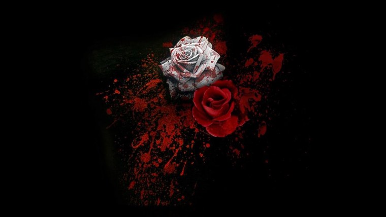 Поломанная роза