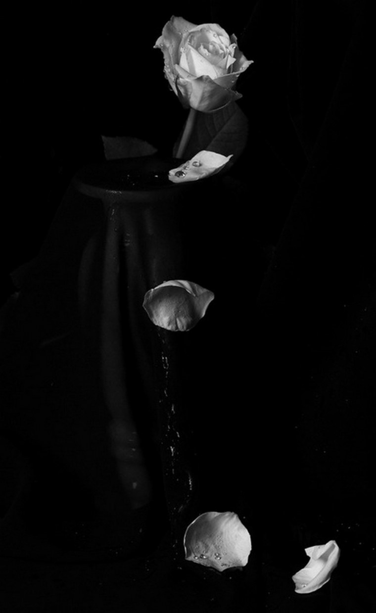 Готическая девушка с розой