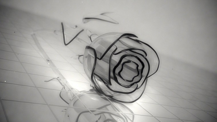 Одинокая роза под дождем