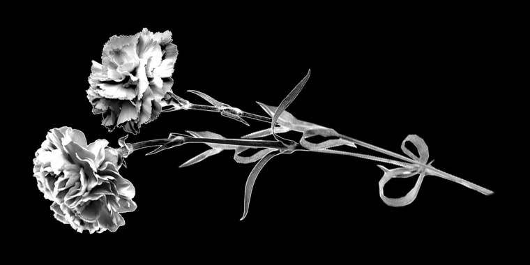 Разбитое сердце фото