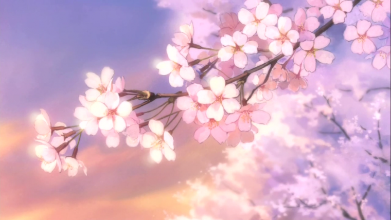 Цветение Сакуры аниме