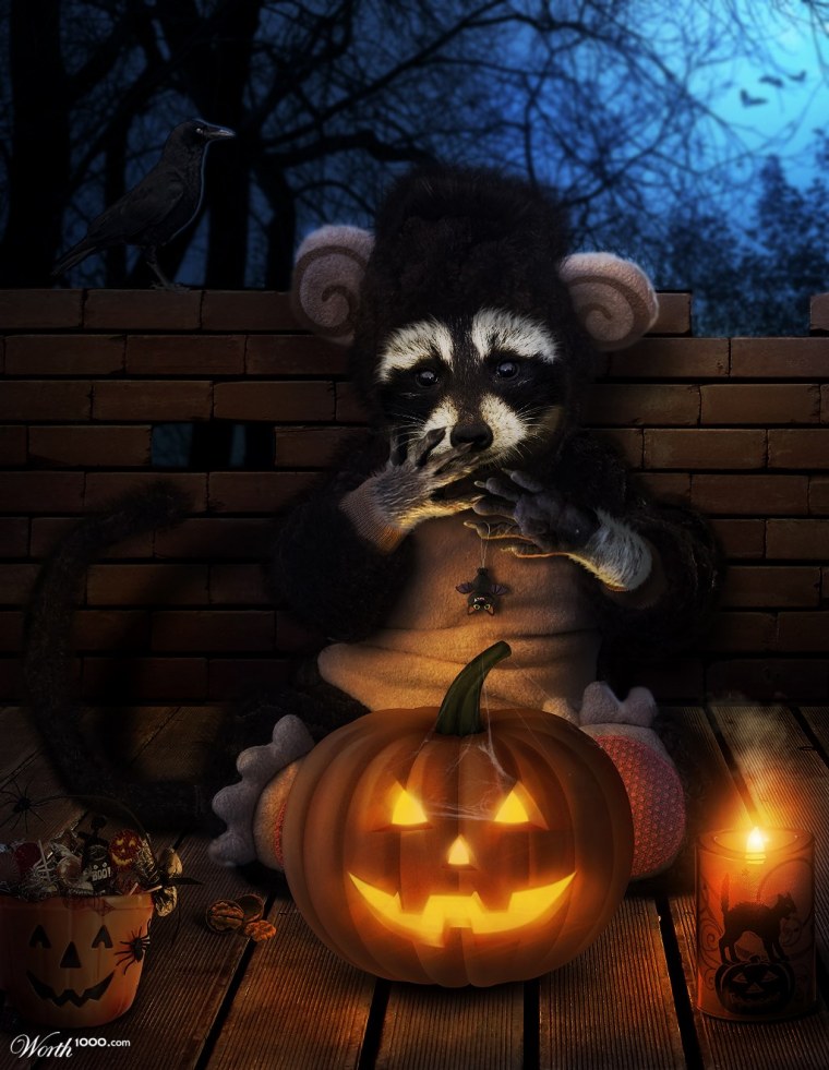 Страшный енот