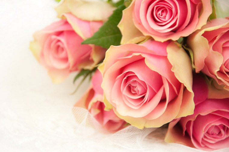 Шикарный букет цветов крупным планом