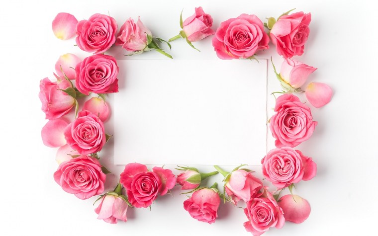 Рамка розы