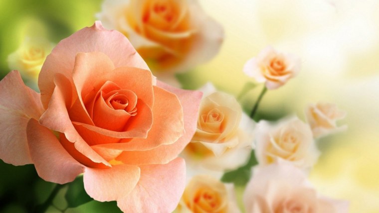 Модульная картина Toplight TL-tm1011