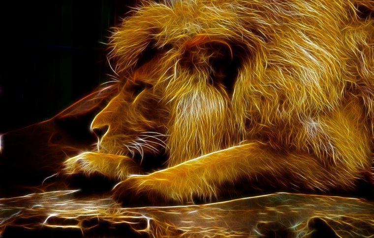 Лев обои на рабочий стол в высоком разрешении
