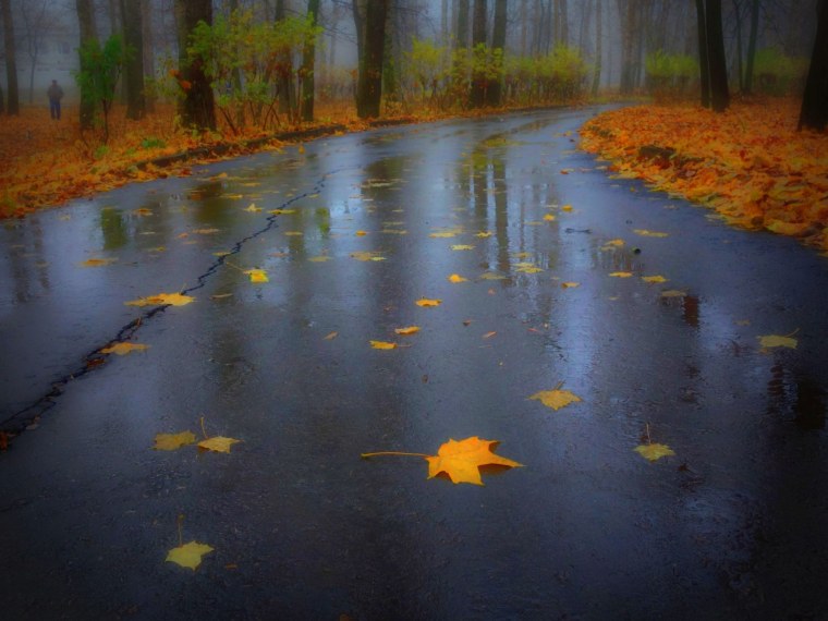 Осенний дождик