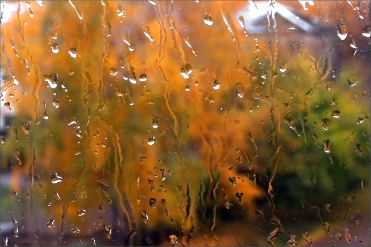 Осень дождь окно