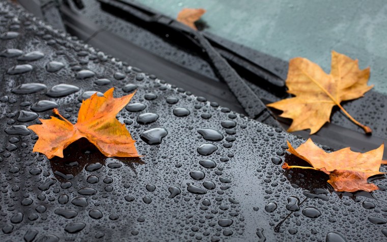 Осень листья дождь