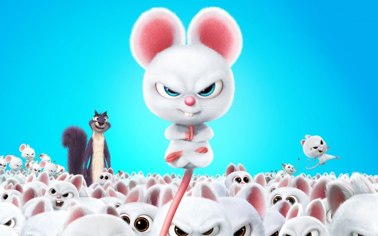 Реальная белка 2 Мистер Фенг