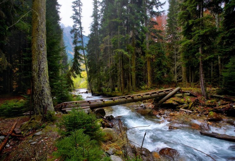 Ручей Горная речка Урал