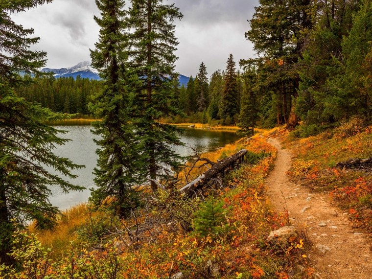 Сибирские Таёжные пейзажи