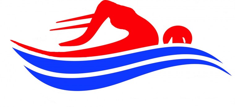Эмблема пловца
