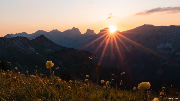 Утренний чай