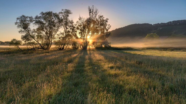 Утро рассвет