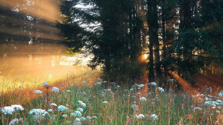 Красивая чашка кофе