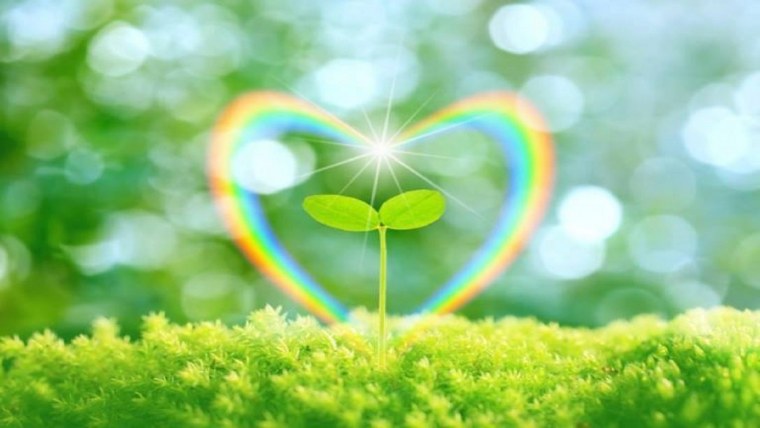 Доброта картинки