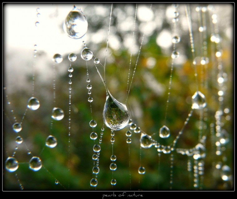 Дождевая капля