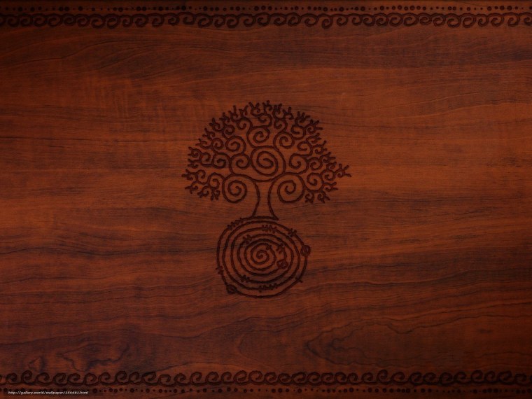 Срез дерева рисунок