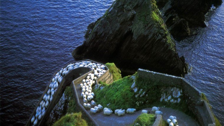 Интересное в мире чудеса