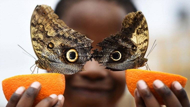 Необычные картинки