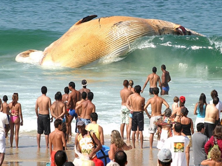 Очевидное невероятное в мире
