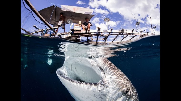 Самые красивые кадры в мире