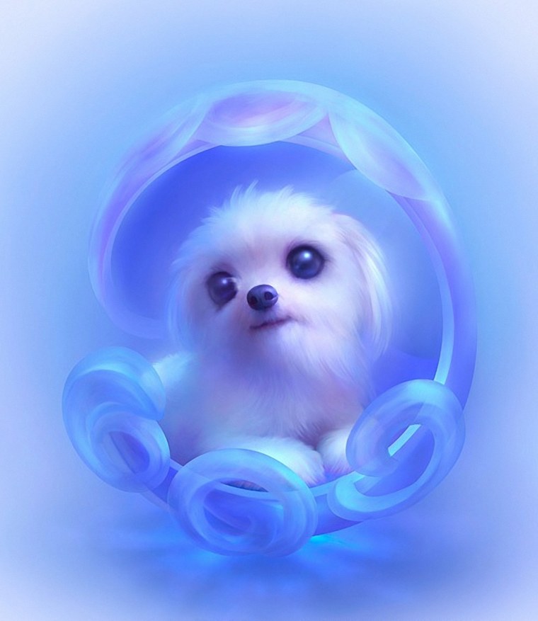 Милые зверюшки.