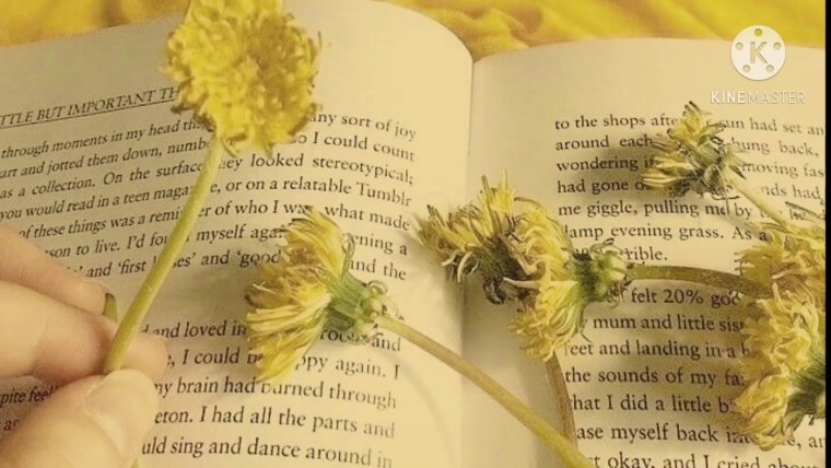 Гарри Поттер фон Хаффлпафф