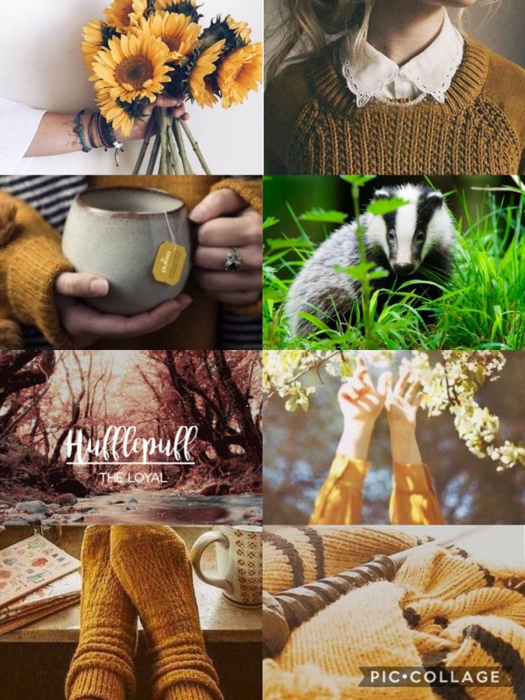 Гарри Поттер Эстетика Хаффлпаффа