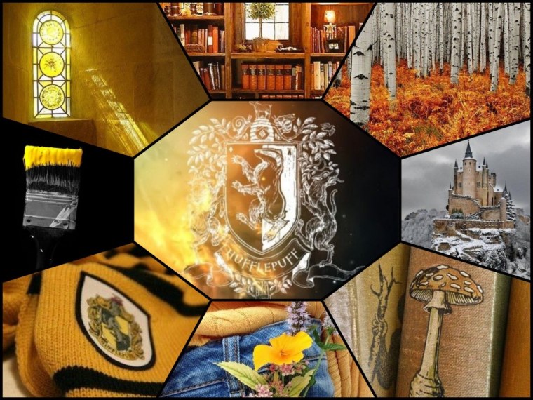 Гарри Поттер фон Хаффлпафф