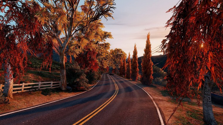 Осень лес дорога