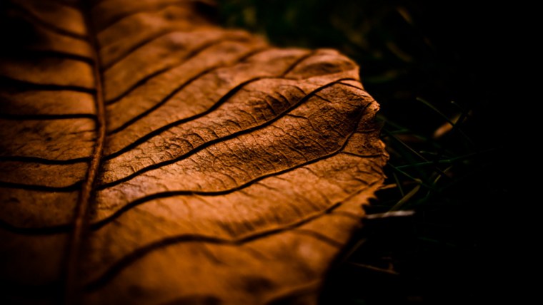 Темные обои