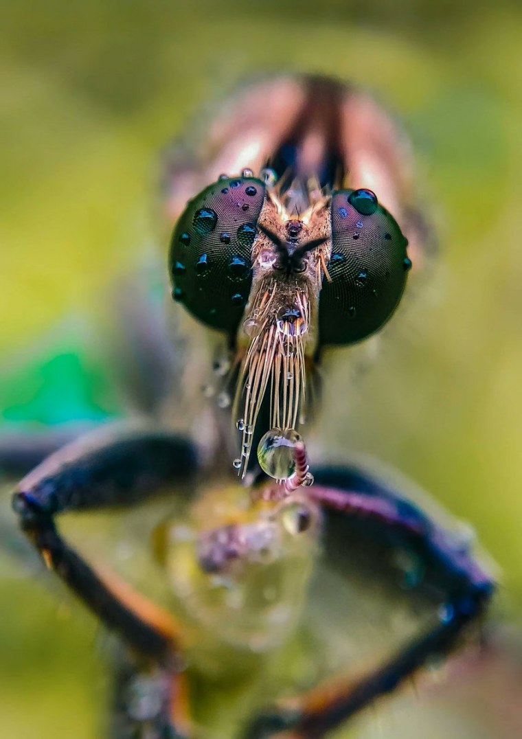 Фотоаппарат в руках