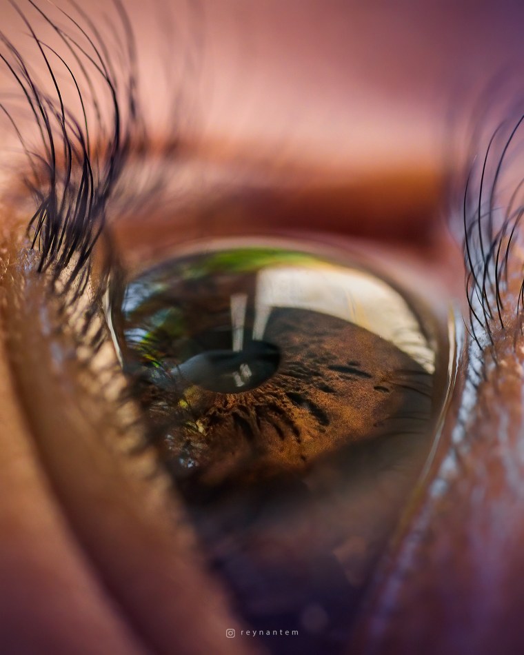 Работы фотохудожников природа