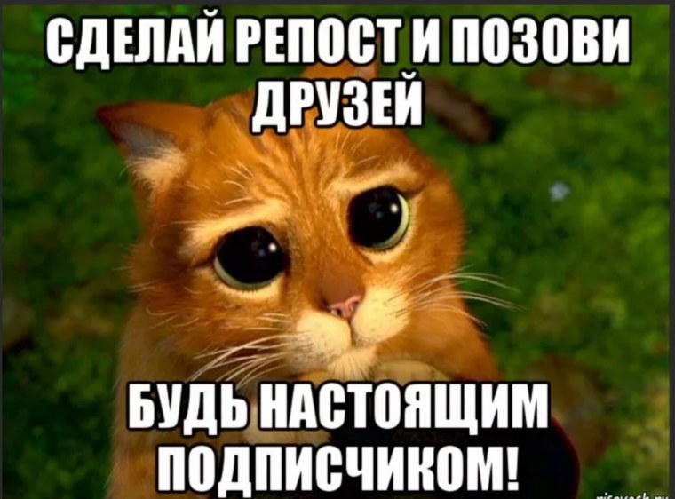 Прости меня я больше так не буду